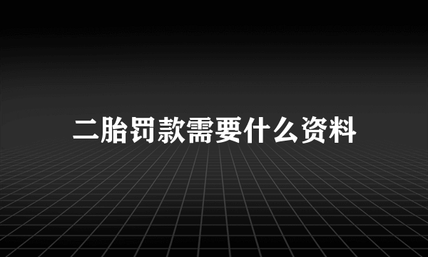 二胎罚款需要什么资料