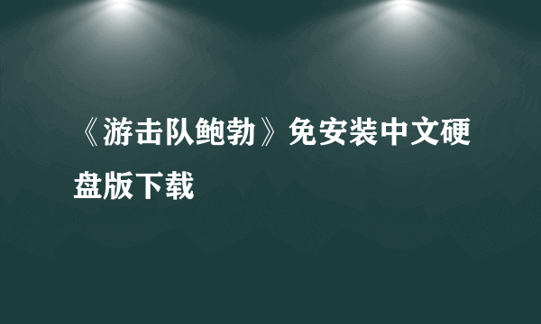 《游击队鲍勃》免安装中文硬盘版下载