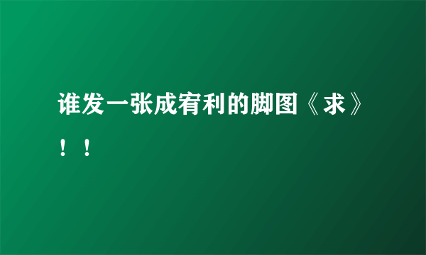 谁发一张成宥利的脚图《求》！！