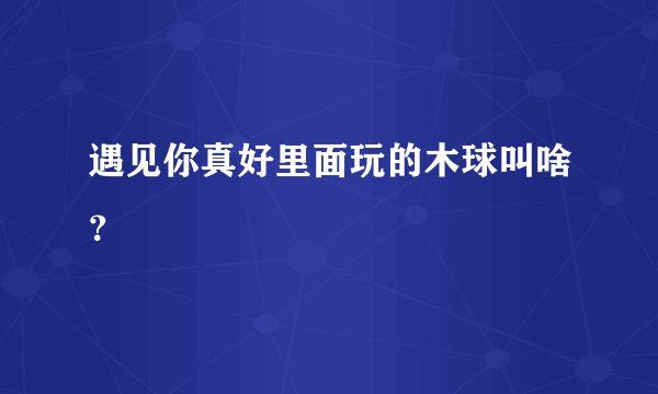 遇见你真好里面玩的木球叫啥？