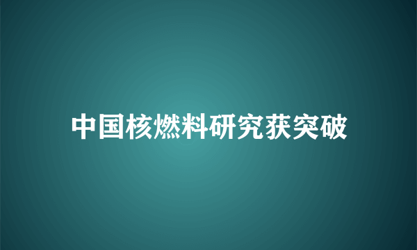 中国核燃料研究获突破