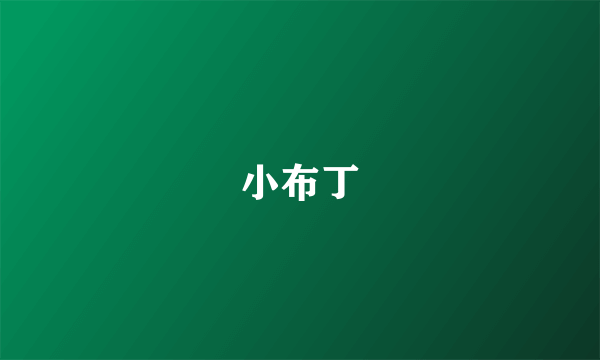 小布丁