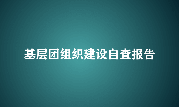 基层团组织建设自查报告