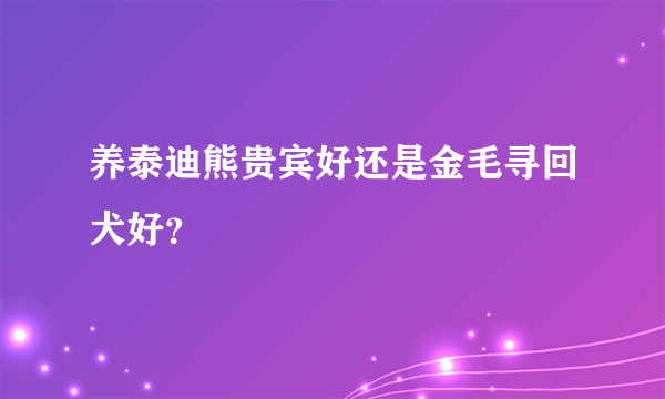 养泰迪熊贵宾好还是金毛寻回犬好？