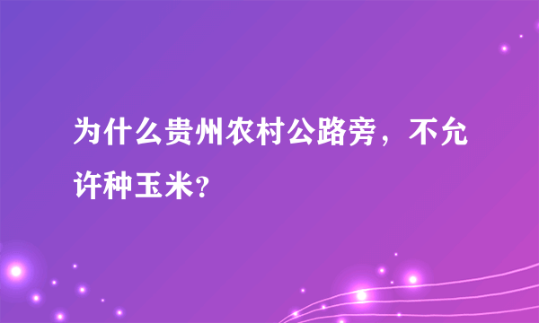 为什么贵州农村公路旁，不允许种玉米？