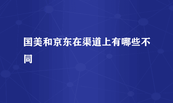 国美和京东在渠道上有哪些不同