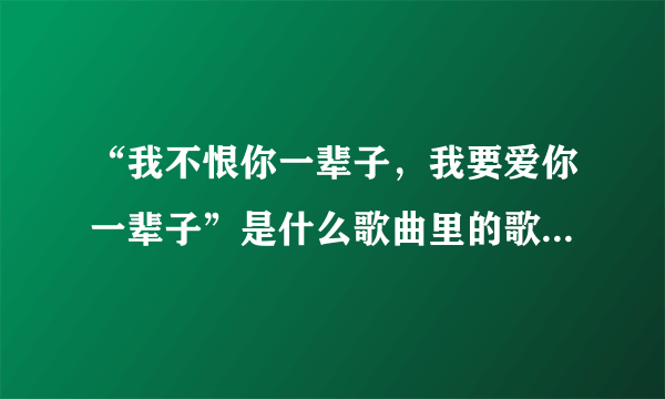 “我不恨你一辈子，我要爱你一辈子”是什么歌曲里的歌词？谢谢！