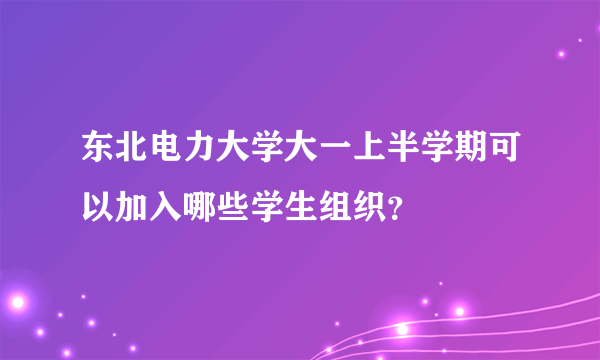 东北电力大学大一上半学期可以加入哪些学生组织？