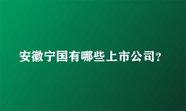 安徽宁国有哪些上市公司？