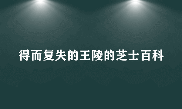 得而复失的王陵的芝士百科