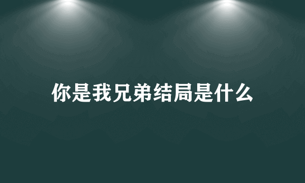 你是我兄弟结局是什么