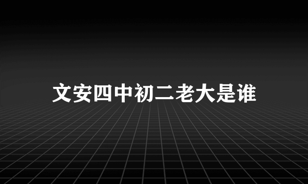 文安四中初二老大是谁