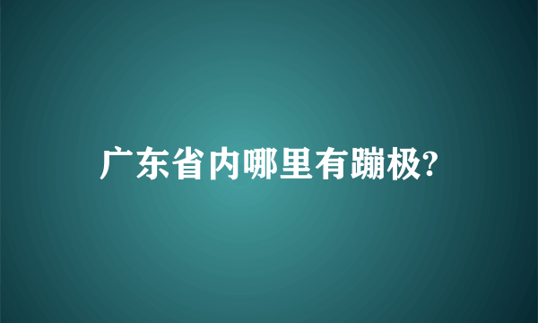 广东省内哪里有蹦极?