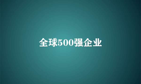 全球500强企业