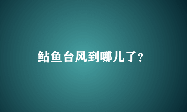 鲇鱼台风到哪儿了？