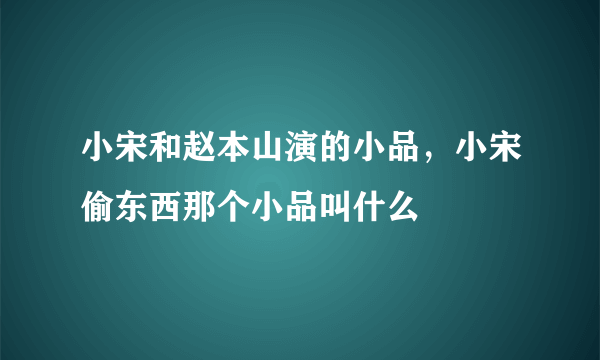 小宋和赵本山演的小品，小宋偷东西那个小品叫什么