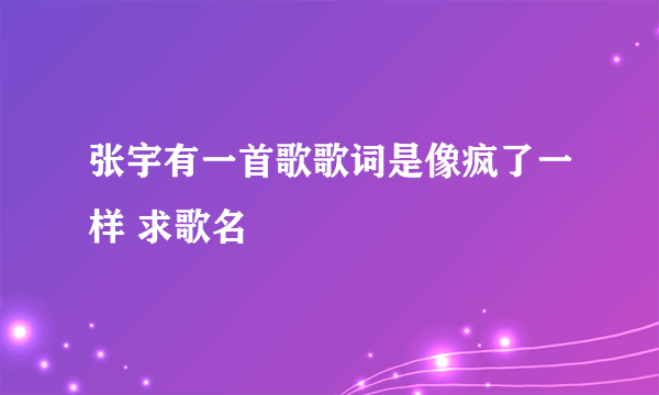 张宇有一首歌歌词是像疯了一样 求歌名