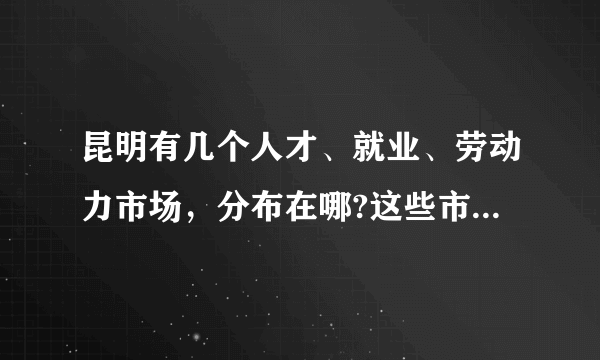 昆明有几个人才、就业、劳动力市场，分布在哪?这些市场都有些什么服务项目？