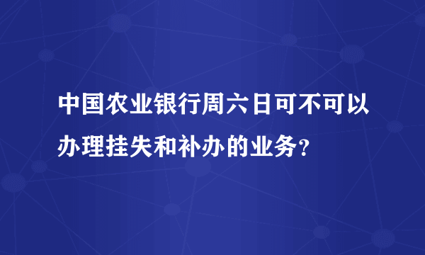 中国农业银行周六日可不可以办理挂失和补办的业务？