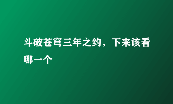 斗破苍穹三年之约，下来该看哪一个