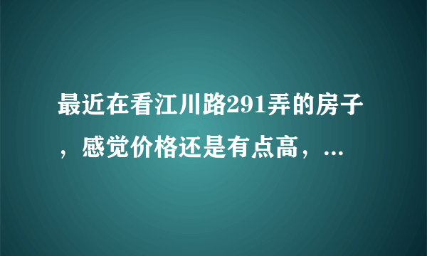 最近在看江川路291弄的房子，感觉价格还是有点高，这个小区之前价格如何？大概多少钱？