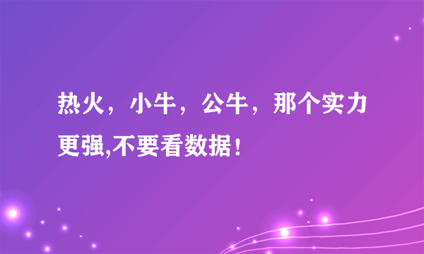 热火，小牛，公牛，那个实力更强,不要看数据！