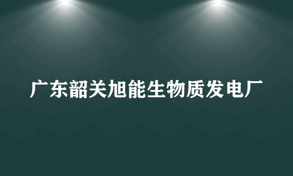 广东韶关旭能生物质发电厂