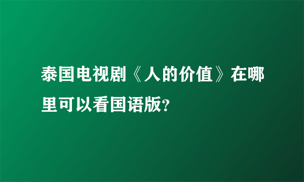 泰国电视剧《人的价值》在哪里可以看国语版？