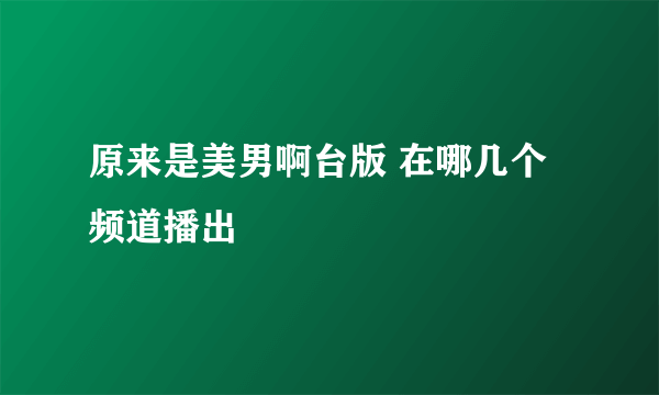 原来是美男啊台版 在哪几个频道播出