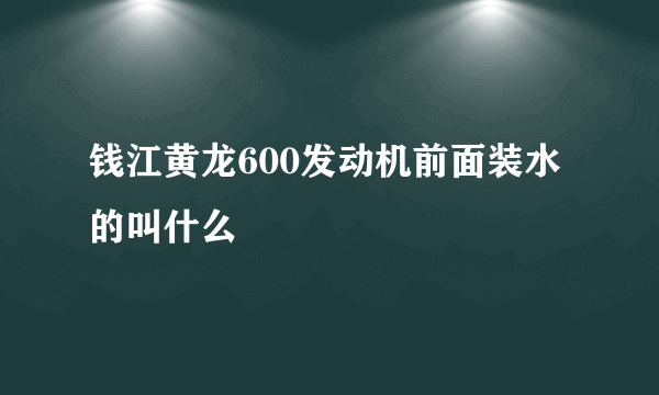 钱江黄龙600发动机前面装水的叫什么