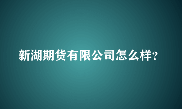 新湖期货有限公司怎么样？