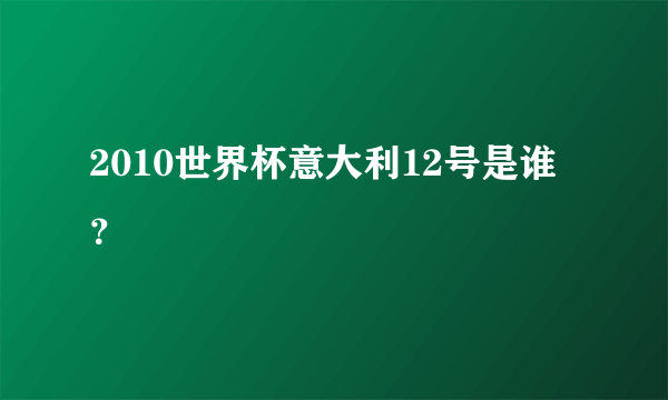 2010世界杯意大利12号是谁？