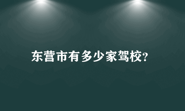 东营市有多少家驾校？