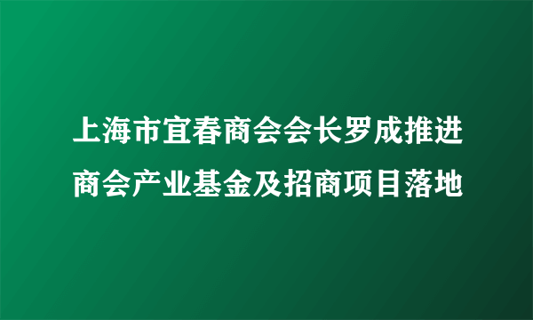 上海市宜春商会会长罗成推进商会产业基金及招商项目落地