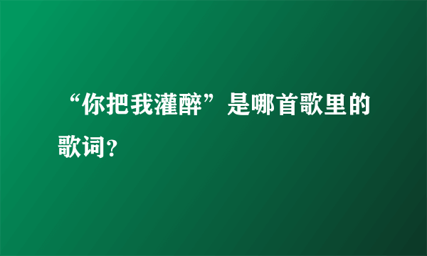 “你把我灌醉”是哪首歌里的歌词？