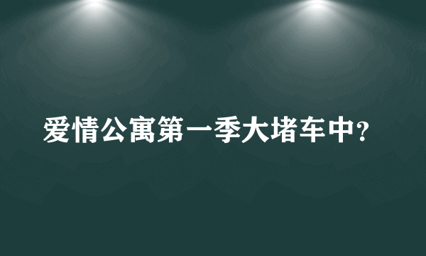 爱情公寓第一季大堵车中？