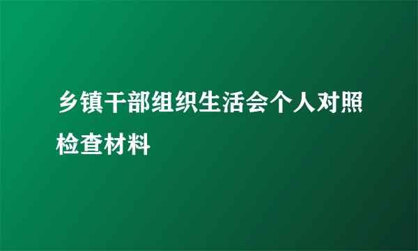 乡镇干部组织生活会个人对照检查材料