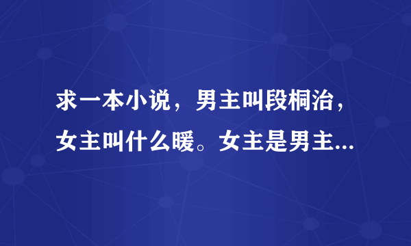 求一本小说，男主叫段桐治，女主叫什么暖。女主是男主老师，也是男主哥哥的女朋友。男主哥很坏。男主很叛？