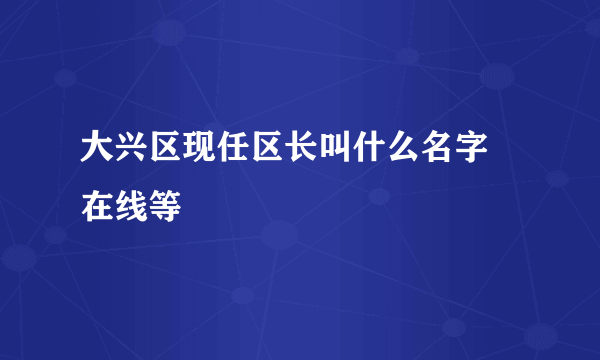 大兴区现任区长叫什么名字   在线等