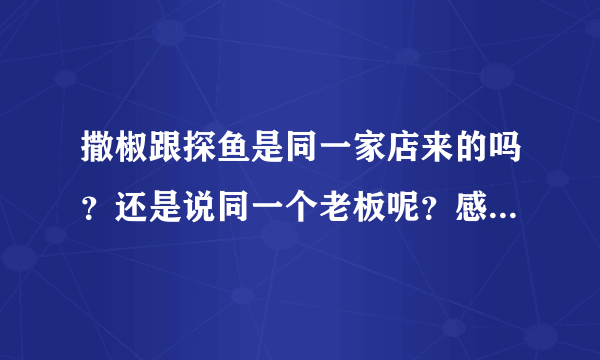 撒椒跟探鱼是同一家店来的吗？还是说同一个老板呢？感觉好像老听到这两个名字混在一起。