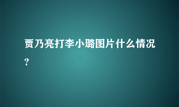 贾乃亮打李小璐图片什么情况？