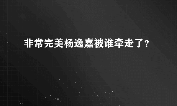 非常完美杨逸嘉被谁牵走了？