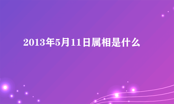 2013年5月11日属相是什么