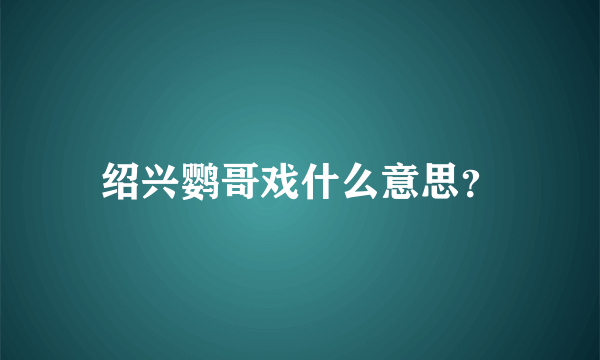 绍兴鹦哥戏什么意思？