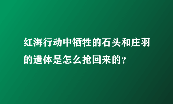 红海行动中牺牲的石头和庄羽的遗体是怎么抢回来的？