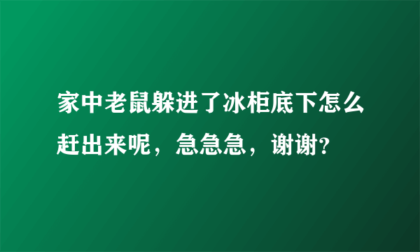 家中老鼠躲进了冰柜底下怎么赶出来呢，急急急，谢谢？