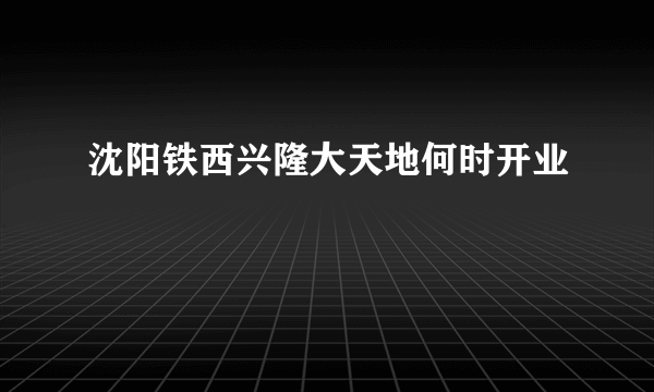 沈阳铁西兴隆大天地何时开业