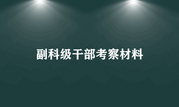 副科级干部考察材料