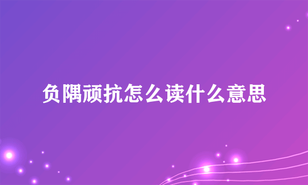 负隅顽抗怎么读什么意思