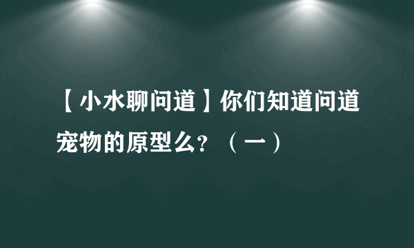 【小水聊问道】你们知道问道宠物的原型么？（一）